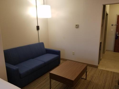 Holiday Inn Express Hotel & Suites Rio Grande City - image 3