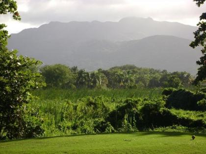 Rio Mar Village - Golf Course View - image 13