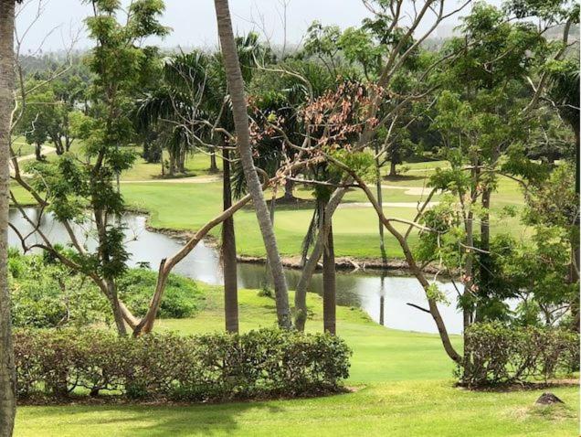 Rio Mar Village - Golf Course View - image 5