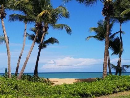 Beachfront Villa in the Rio Mar Resort - image 10