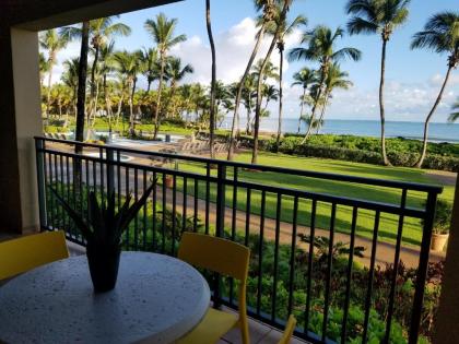 Beachfront Villa in the Rio Mar Resort - image 6