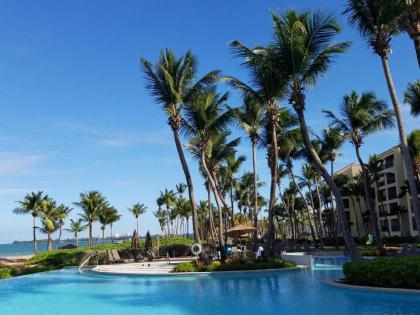 Beachfront Villa in the Rio Mar Resort - image 9