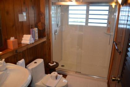 El Yunque Rainforest Inn - image 12