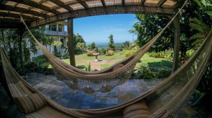 El Yunque Rainforest Inn - image 2