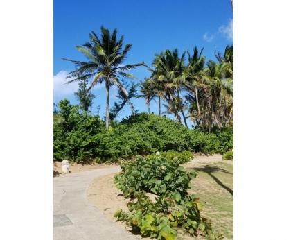 Beautiful Villa at The Rio Mar Beach Resort - image 13