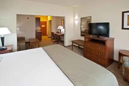 Holiday Inn Express & Suites Ripley an IHG Hotel - image 9