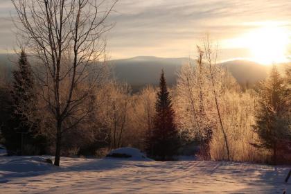 Robert Frost Mountain Cabins - image 13