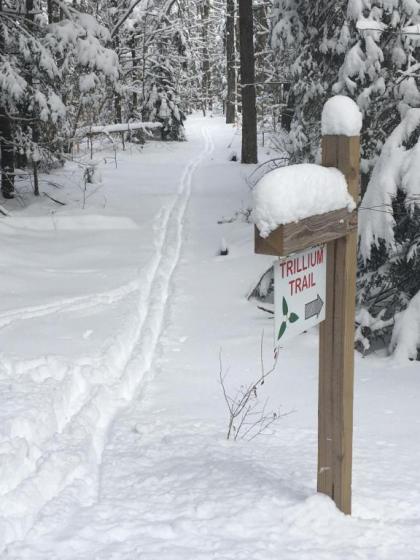 Robert Frost Mountain Cabins - image 6