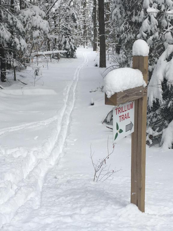 Robert Frost Mountain Cabins - image 6