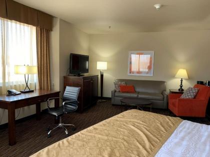 Best Western Plus Campus Inn - River Falls - image 12