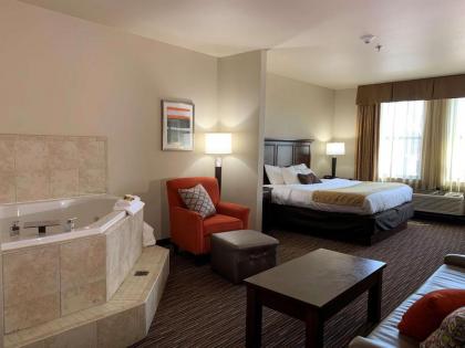 Best Western Plus Campus Inn - River Falls - image 5