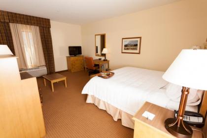 Hampton Inn & Suites Riverton - image 9