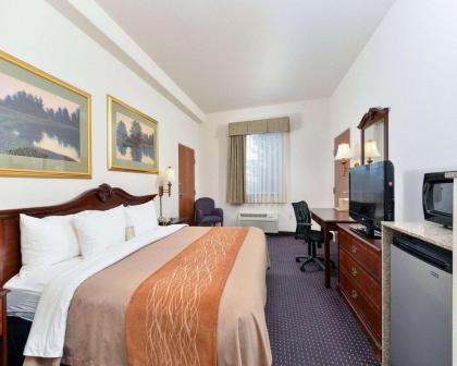 Comfort Inn & Suites Riverton - image 3