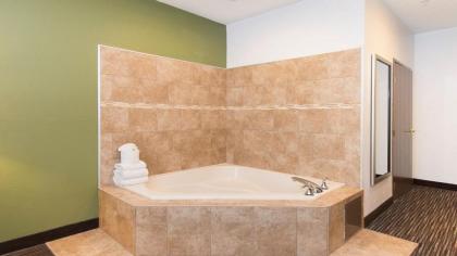 Holiday Inn Express Hotel & Suites Chicago-Deerfield/Lincolnshire an IHG Hotel - image 11