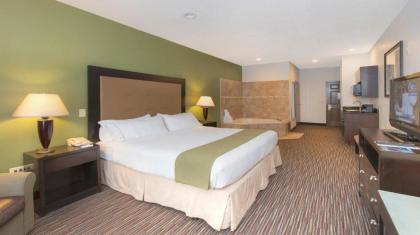 Holiday Inn Express Hotel & Suites Chicago-Deerfield/Lincolnshire an IHG Hotel - image 13