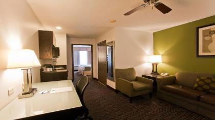 Holiday Inn Express Hotel & Suites Chicago-Deerfield/Lincolnshire an IHG Hotel - image 19