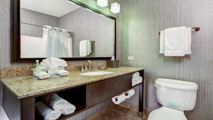 Holiday Inn Express Hotel & Suites Chicago-Deerfield/Lincolnshire an IHG Hotel - image 20