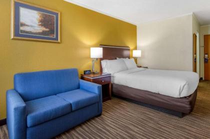 Comfort Inn Roanoke Civic Center - image 10