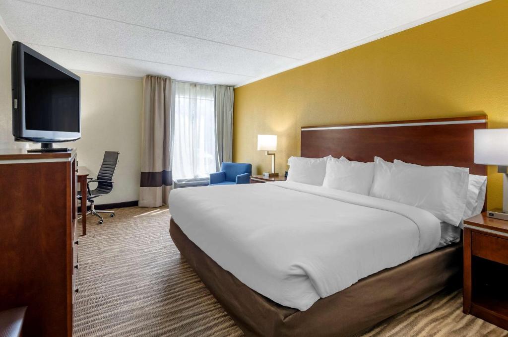 Comfort Inn Roanoke Civic Center - image 6