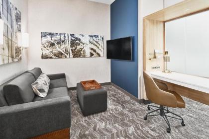 SpringHill Suites by Marriott Roanoke - image 15