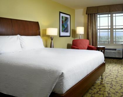 Hilton Garden Inn Roanoke - image 12