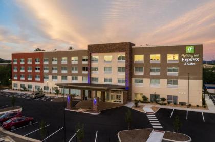 Holiday Inn Express & Suites Roanoke - Civic Center - image 11