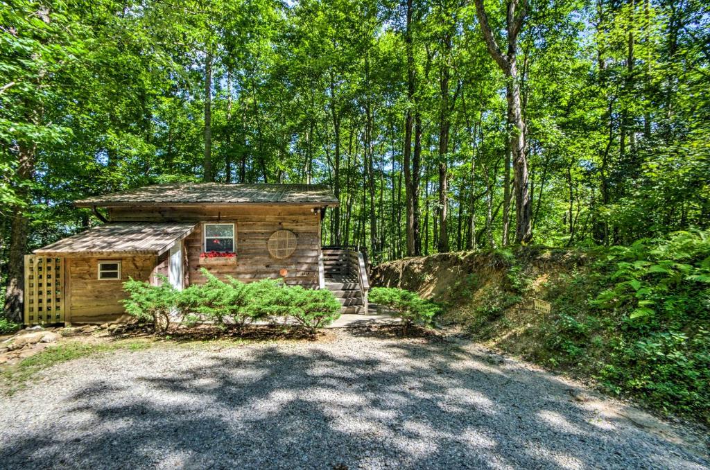 Serene Robbinsville Cabin with Screened Porch and Grill - image 4