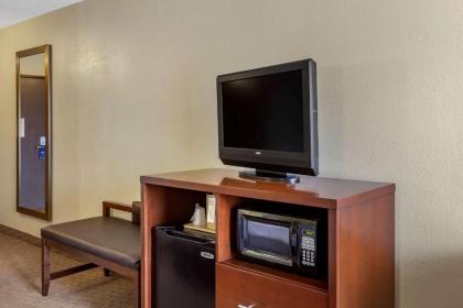 Comfort Inn & Suites Rochelle - image 12