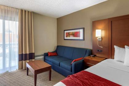 Comfort Inn & Suites Rochelle - image 14