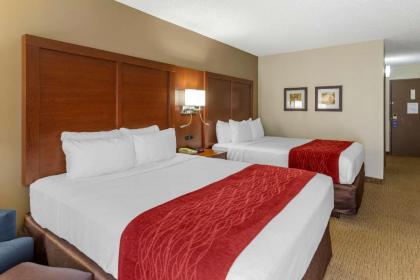 Comfort Inn & Suites Rochelle - image 15