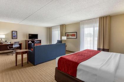 Comfort Inn & Suites Rochelle - image 6