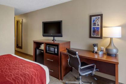 Comfort Inn & Suites Rochelle - image 9