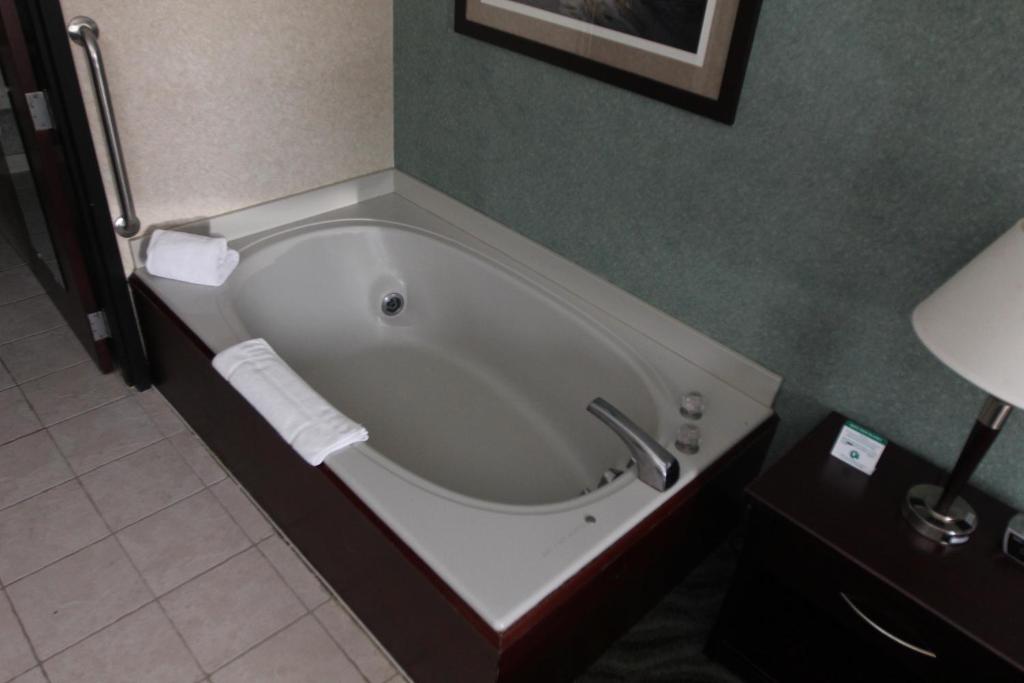 Days Inn & Suites by Wyndham Rochester Hills MI - image 2