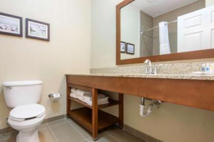 Comfort Suites Rochester - image 4