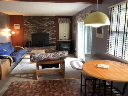 Silver Spring Chalet Large 4 bedroom Pittsfield VT 20 min to Killington Slopes - image 15