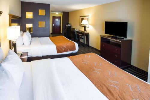 Comfort Suites Rochester - image 5