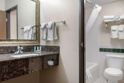 Quality Inn Rochester - image 3