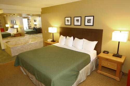 Country Inn & Suites by Radisson Rochester South MN - image 3