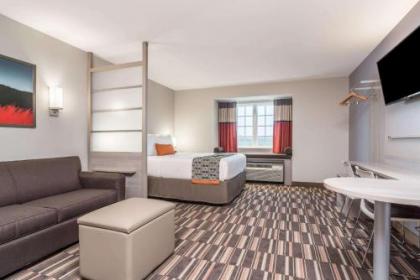 Microtel Inn & Suites by Wyndham Rochester South Mayo Clinic - image 2