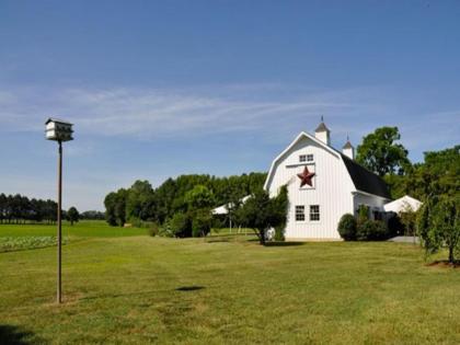 Inn at Huntingfield Creek - image 13