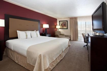 Holiday Inn Rock Springs an IHG Hotel - image 8