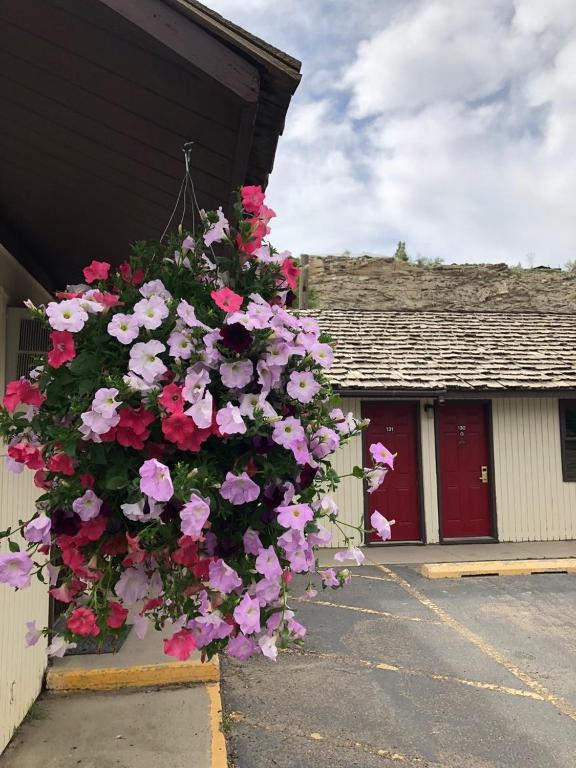 Country West Motel of Rock Springs - main image