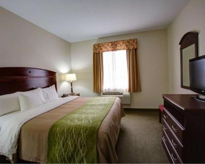 Quality Inn Rockdale - image 5