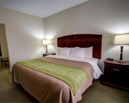 Quality Inn Rockdale - image 9