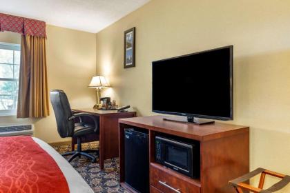 Comfort Inn Rockland - Boston - image 14