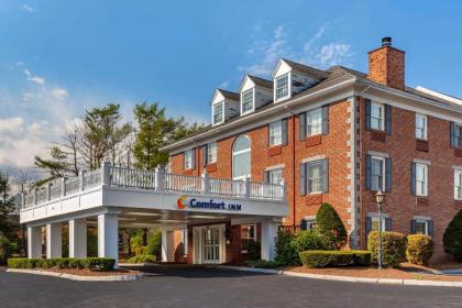 Comfort Inn Rockland - Boston - image 2