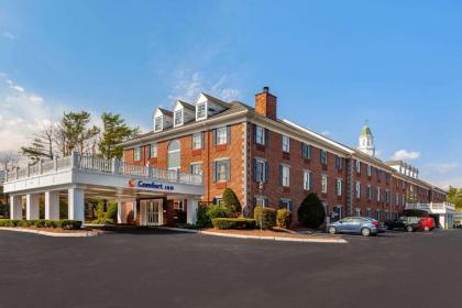 Comfort Inn Rockland - Boston - image 3