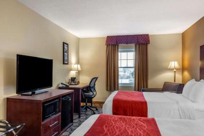 Comfort Inn Rockland - Boston - image 7