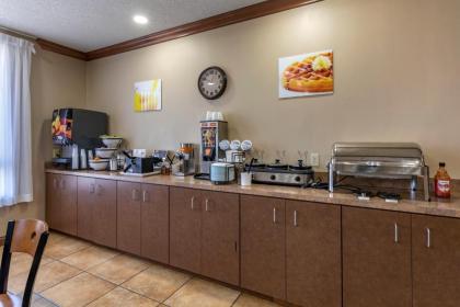 Quality Inn & Suites - image 9