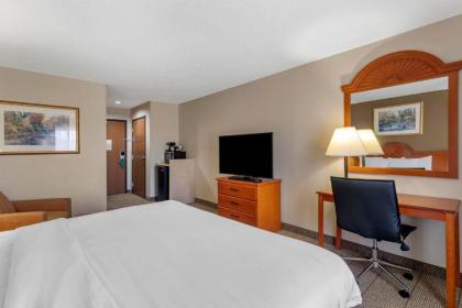 Quality Inn & Suites - image 10